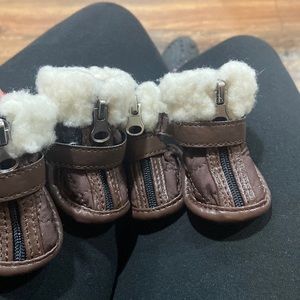 Small doggie boots